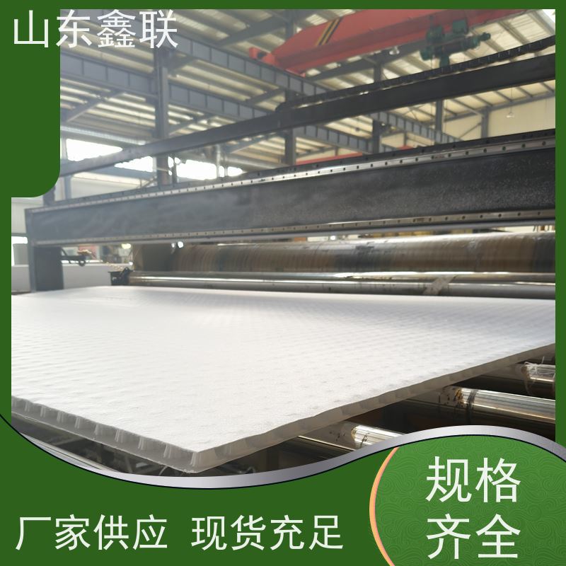 鑫联新材料 防护虹吸排水系统 大厂实力批发 20高分子异型片材