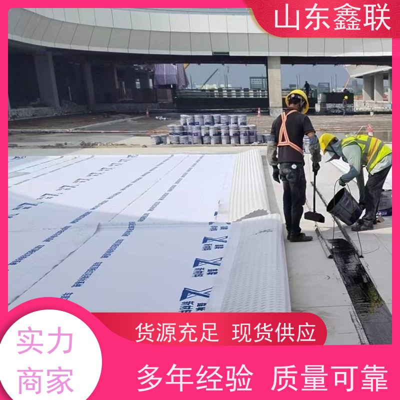 鑫联新材料 车库虹吸系统 严选自营 H25双面抗压排水异形片
