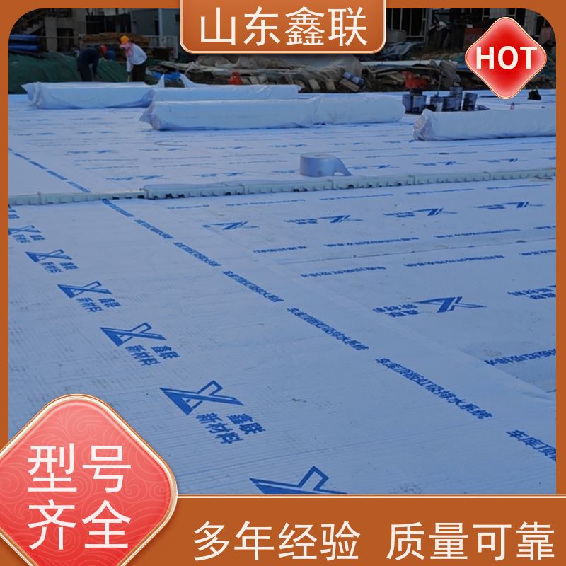 鑫联新材料 地下车库顶板虹吸排水工程 科研创新 15高板布一体疏水板