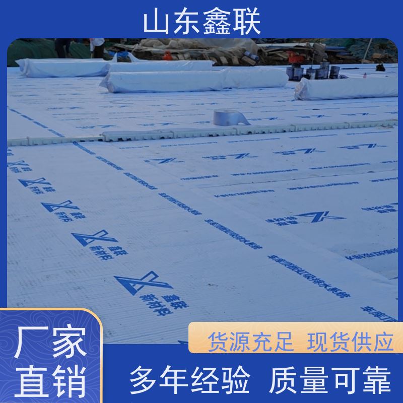 鑫联新材料 虹吸排水板施工 中国绿色建材 20高分子异型片材
