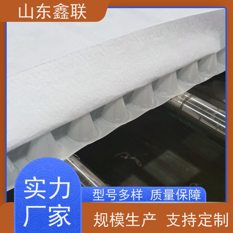 鑫联新材料 车库虹吸系统 10年大厂品牌 PED15高分子防护排水异型片