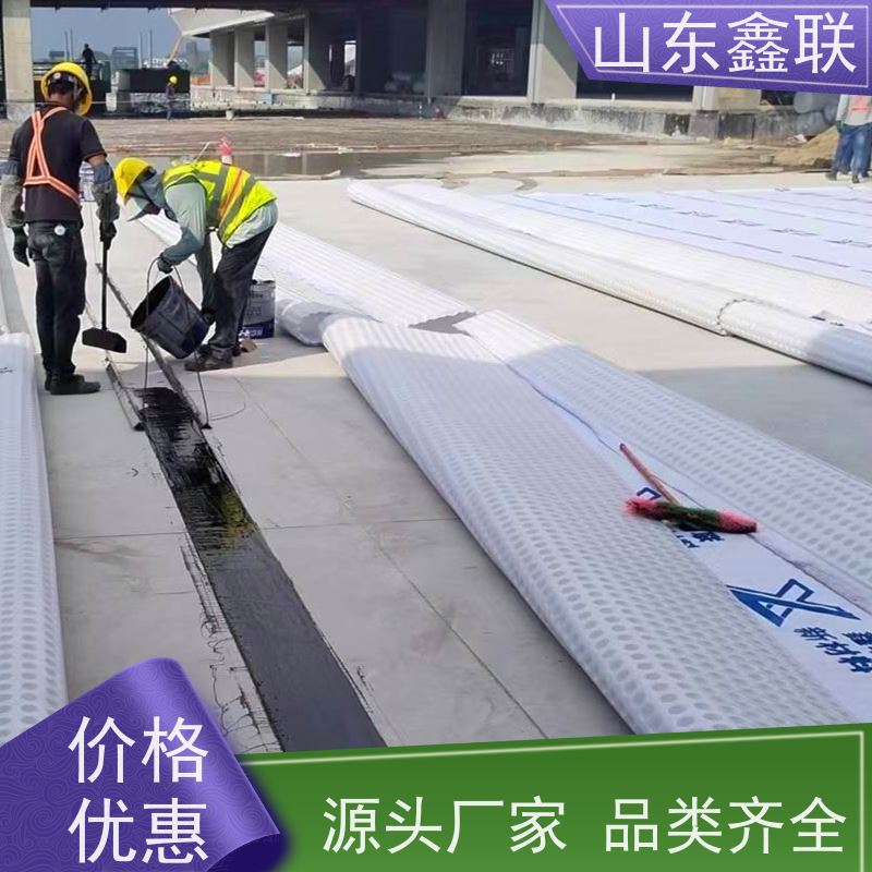 鑫联新材料 虹吸排水板施工 设计院认可 H30双面排蓄水异形片