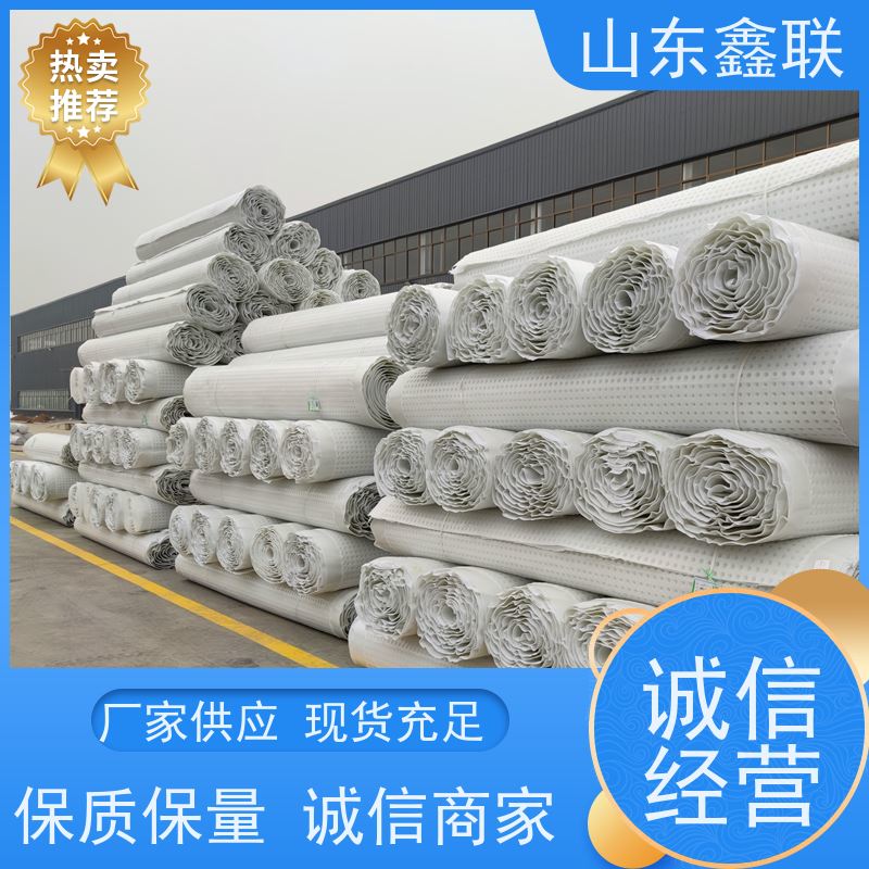 鑫联新材料 虹吸雨水排放系统 国检认证品质 H30双面排蓄水异形片