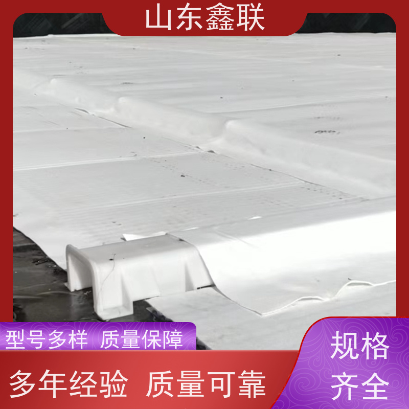 鑫联新材料 车库顶板虹吸排水 设计院认可 20高分子异型片材