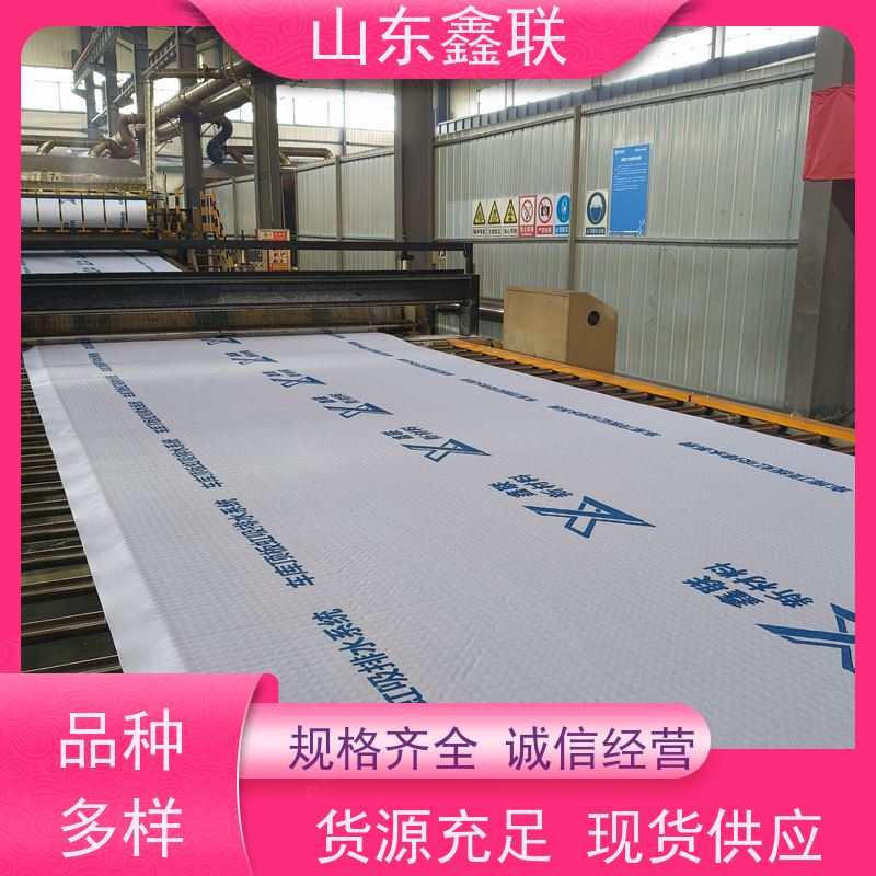 鑫联新材料 防护虹吸排水系统 百亩面积厂商 H30双面排蓄水异形片