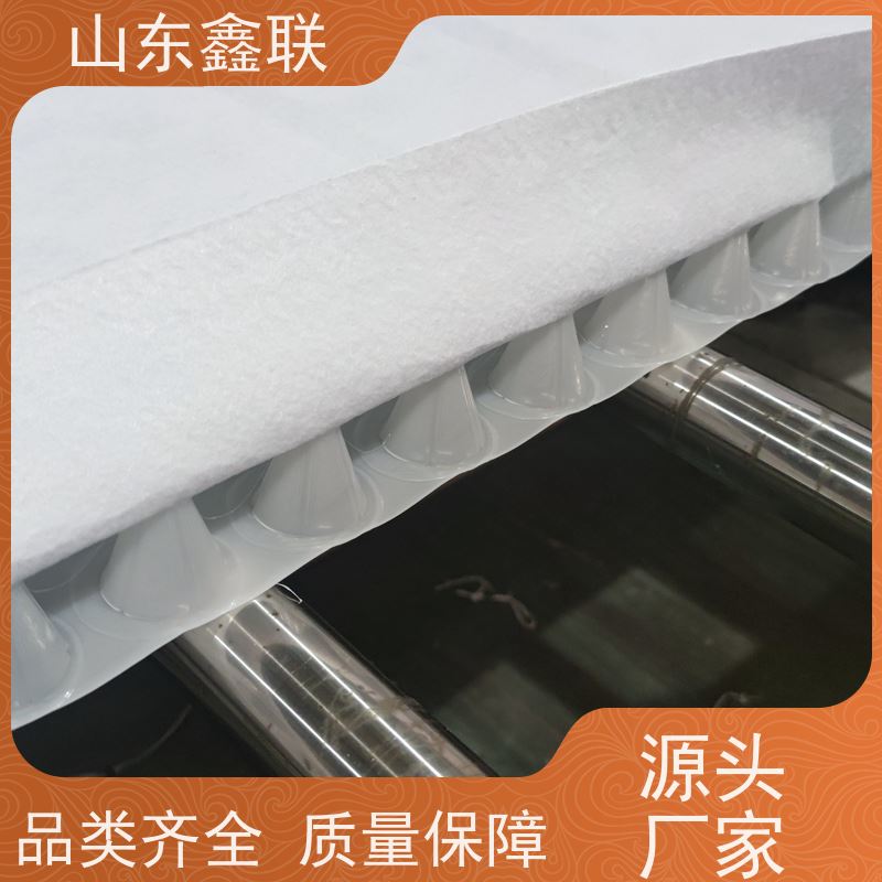 鑫联新材料 虹吸排水板施工 百亩面积厂商 20高分子异型片材