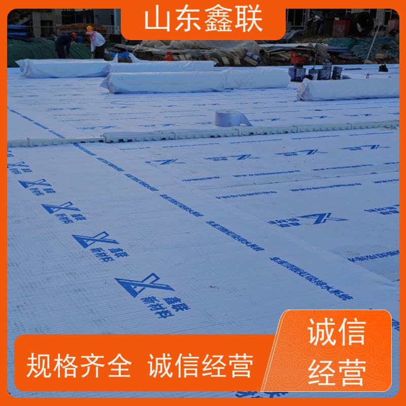 鑫联新材料 虹吸雨水排放系统 厂家施工指导 15高板布一体疏水板