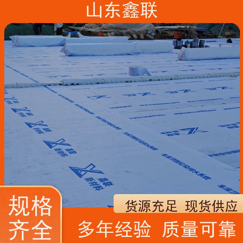 鑫联新材料 种植屋面虹吸排水系统 屋顶花园绿化 20高分子异型片材
