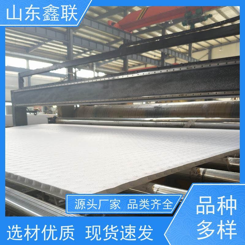 鑫联新材料 防护虹吸排水收集系统 屋顶花园绿化 20高分子异型片材