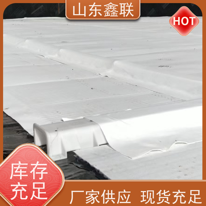 鑫联新材料 虹吸雨水排放系统 车库顶板专用 H25双面抗压排水异形片