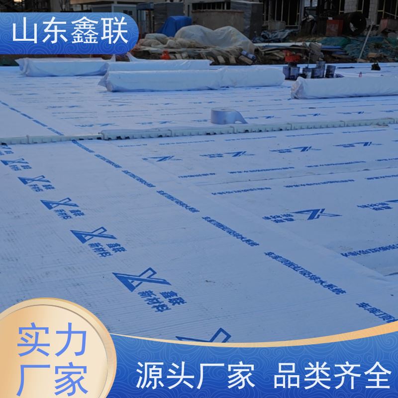 鑫联新材料 车库顶板虹吸排水 10年大厂品牌 20高分子异型片材