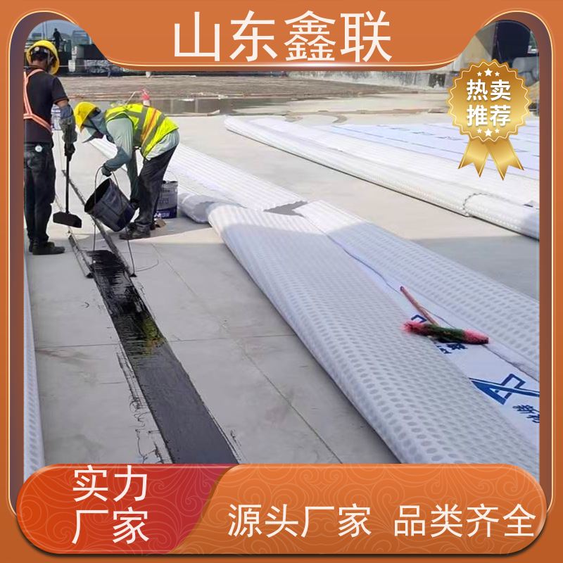鑫联新材料 车库顶板虹吸排水系统 百亩面积厂商 20高分子异型片材