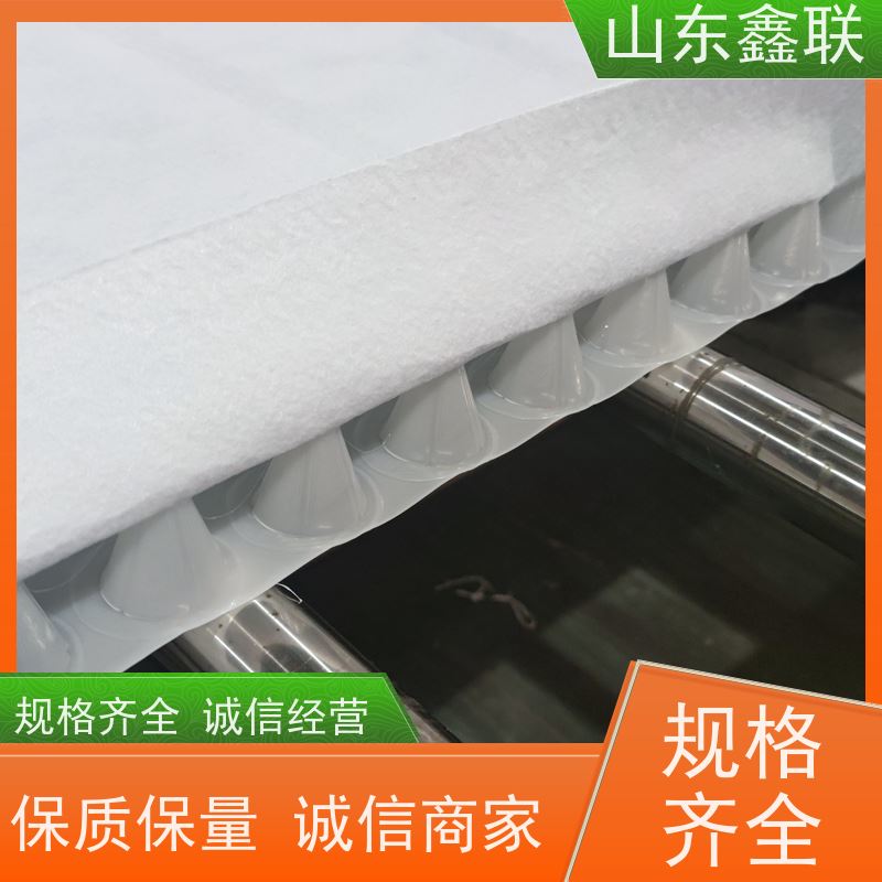 鑫联新材料 车库虹吸系统 专注生产供应 H30双面排蓄水异形片