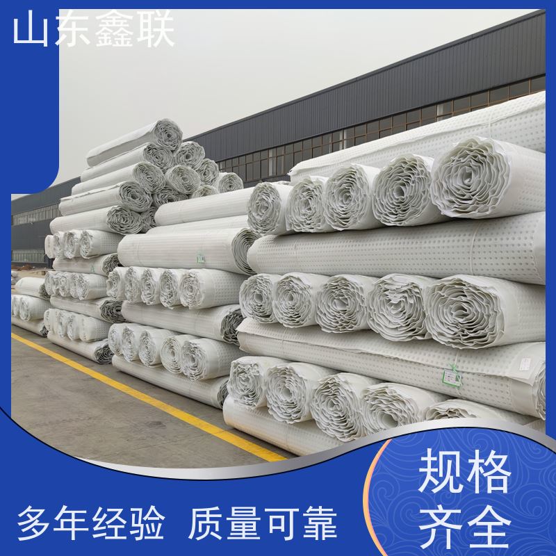 鑫联新材料 防护虹吸排水系统 10年大厂品牌 20高分子异型片材