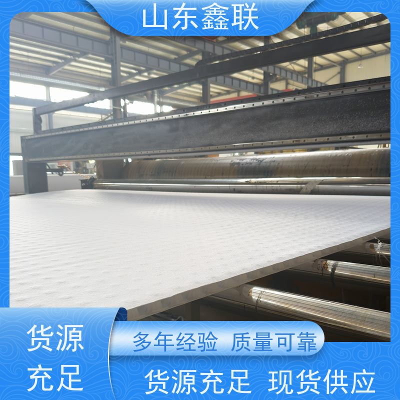 鑫联新材料 防护虹吸排水系统 中国绿色建材 H30双面排蓄水异形片