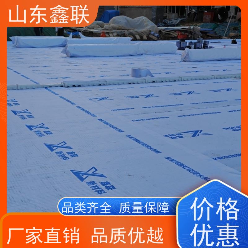 鑫联新材料 车库虹吸系统 专注生产供应 15高板布一体疏水板