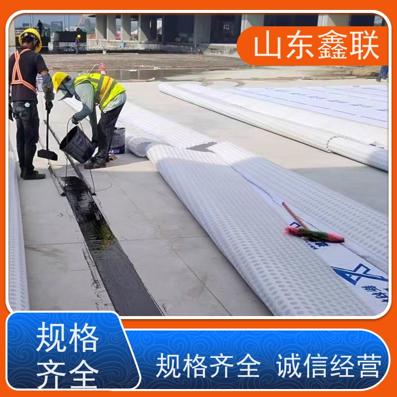 鑫联新材料 虹吸排水板施工 10年大厂品牌 20高分子异型片材