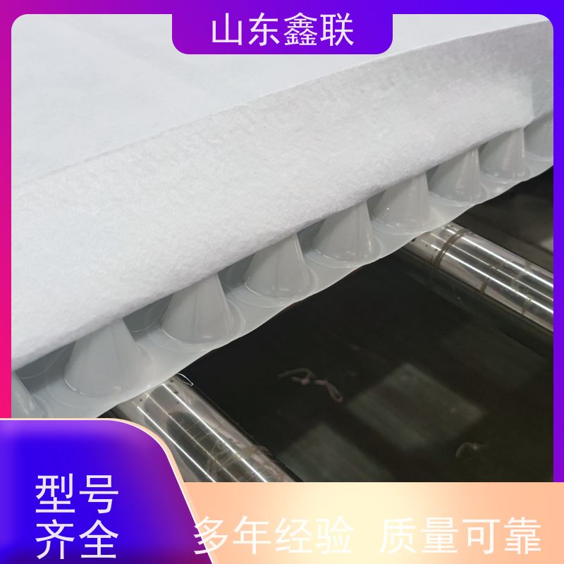 鑫联新材料 车库虹吸系统 严选自营 16高高分子防护排（蓄）水异形片