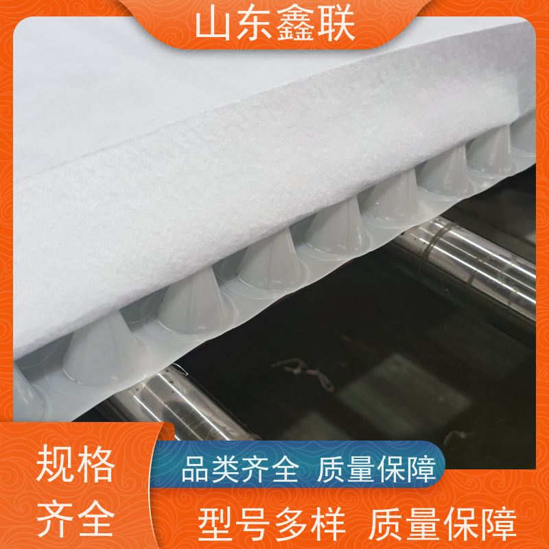 鑫联新材料 有序虹吸排水系统 屋顶花园绿化 15高板布一体疏水板