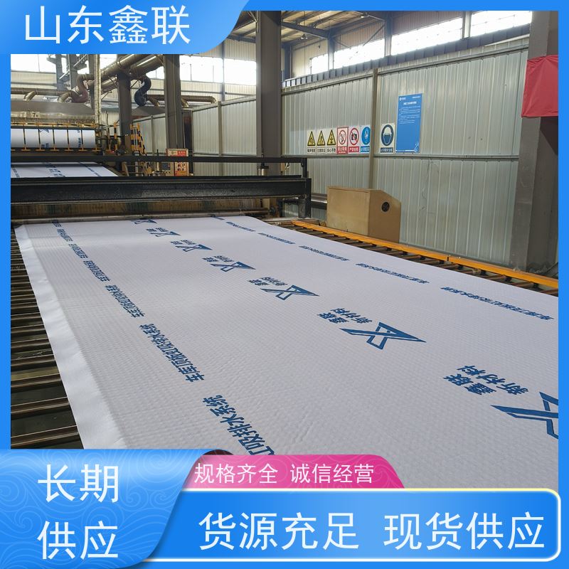 鑫联新材料 车库顶板虹吸排水 设计院认可 H30双面排蓄水异形片