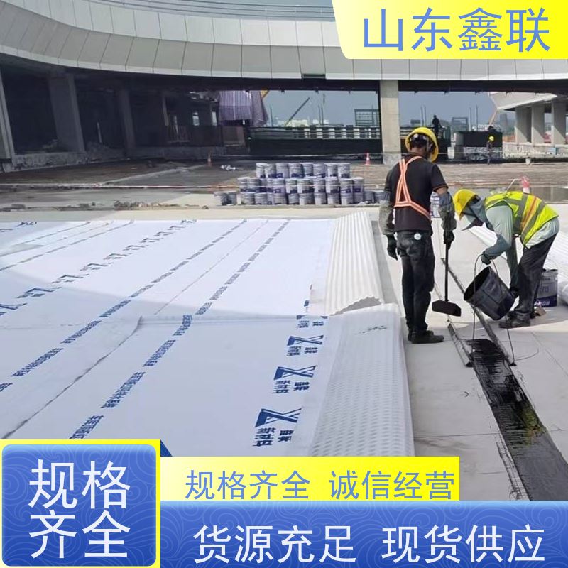 鑫联新材料 防护虹吸排水系统 屋顶花园绿化 15高板布一体疏水板