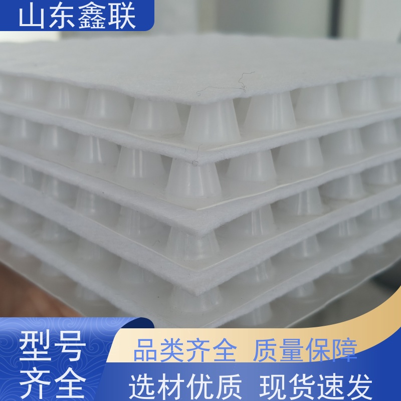 鑫联新材料 虹吸雨水排放系统 严选自营 复合高分子防护排水异形片