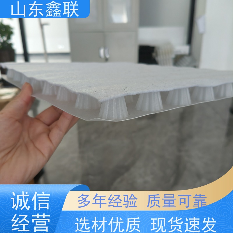 鑫联新材料 车库虹吸系统 中国绿色建材 PED15高分子防护排水异型片