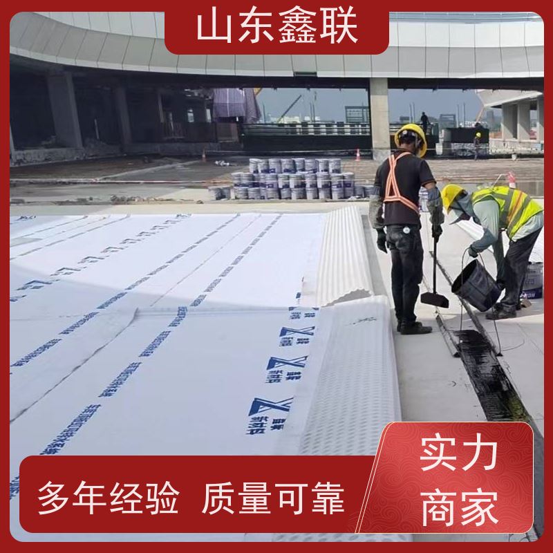 鑫联新材料 车库顶板虹吸排水 百亩面积厂商 15高板布一体疏水板