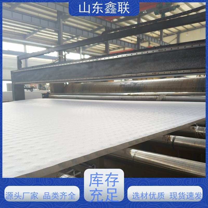 鑫联新材料 虹吸排水板施工 严选自营 H30双面排蓄水异形片