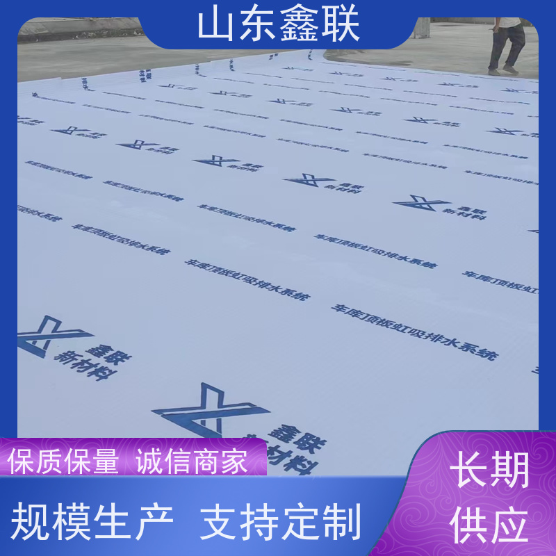 鑫联新材料 车库顶板虹吸排水 专注生产供应 20高分子异型片材