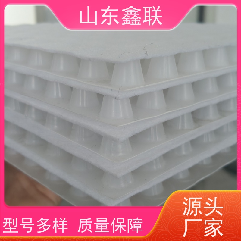 鑫联新材料 车库虹吸系统 屋顶花园绿化 PED15高分子防护排水异型片