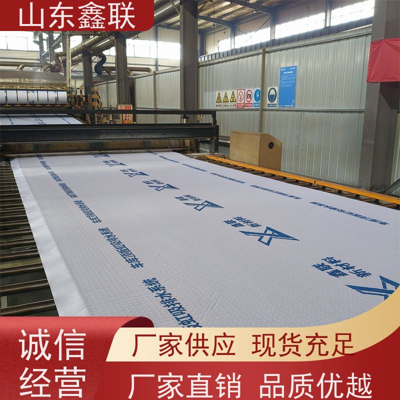 鑫联新材料 防护虹吸排水系统 大厂实力批发 H30双面排蓄水异形片