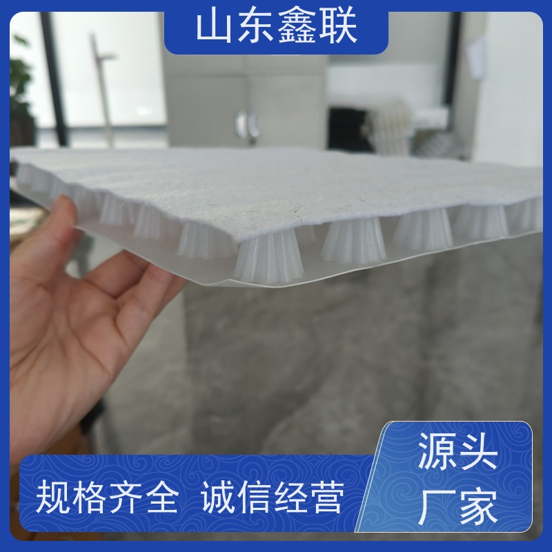 鑫联新材料 种植屋面虹吸排水系统 设计院认可 H30双面排蓄水异形片
