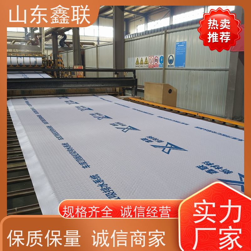 车库虹吸排水系统 中国绿色建材 20高分子异型片材自粘土工布