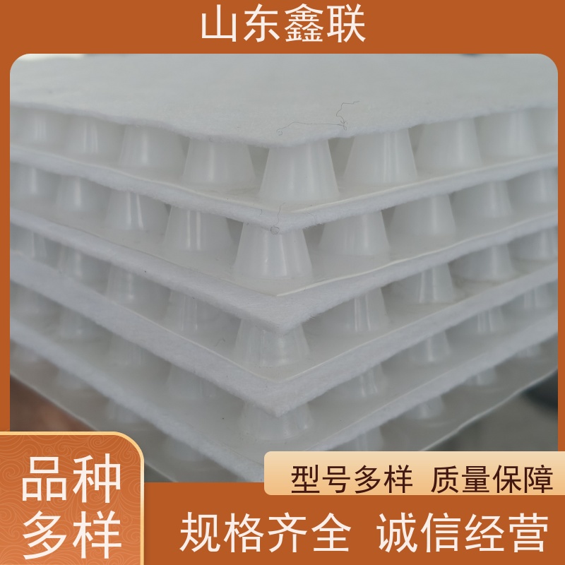 鑫联新材料 车库虹吸系统 严选自营 H30双面排蓄水异形片