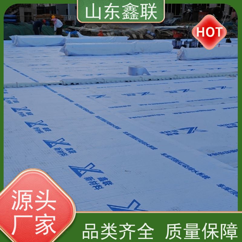 鑫联新材料 虹吸雨水排放系统 专注生产供应 15高板布一体疏水板