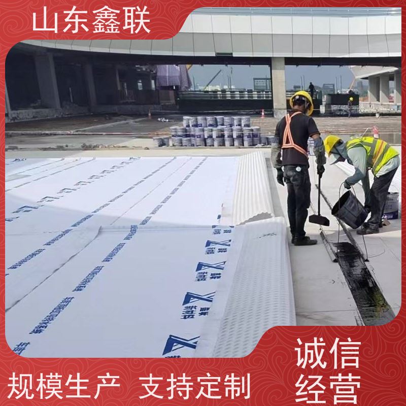 鑫联新材料 车库虹吸系统 中国绿色建材 H20高分子防排水保护异形片