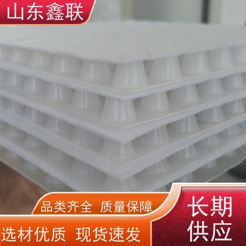 鑫联新材料 防护虹吸排水收集系统 专注生产供应 15高板布一体疏水板