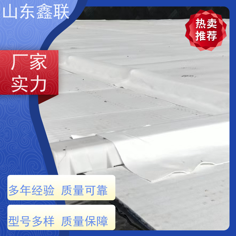 鑫联新材料 车库虹吸系统 厂家施工指导 H25双面抗压排水异形片
