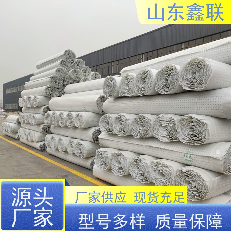 鑫联新材料 虹吸雨水排放系统 百亩面积厂商 20高分子异型片材