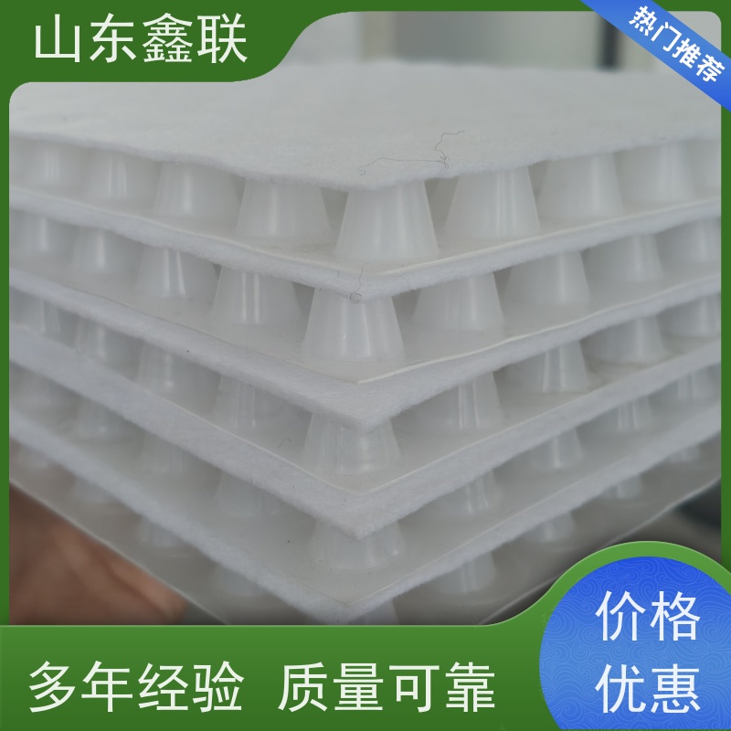 鑫联新材料 虹吸雨水排放系统 车库顶板专用 H30双面排蓄水异形片