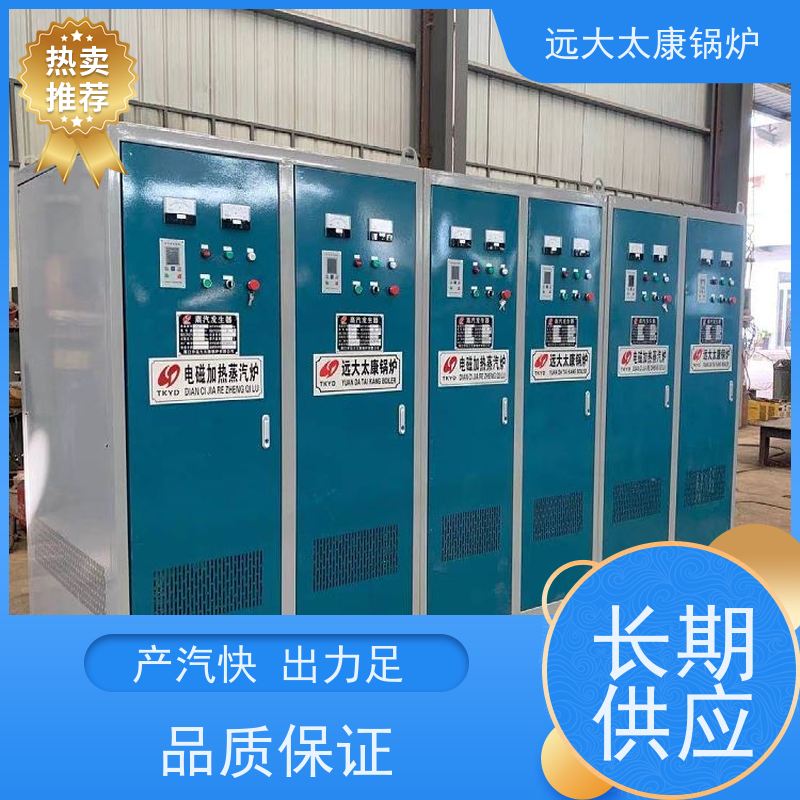 远大太康 电加热蒸汽发生器 生物制药设备配套 热效率高达98% 节能