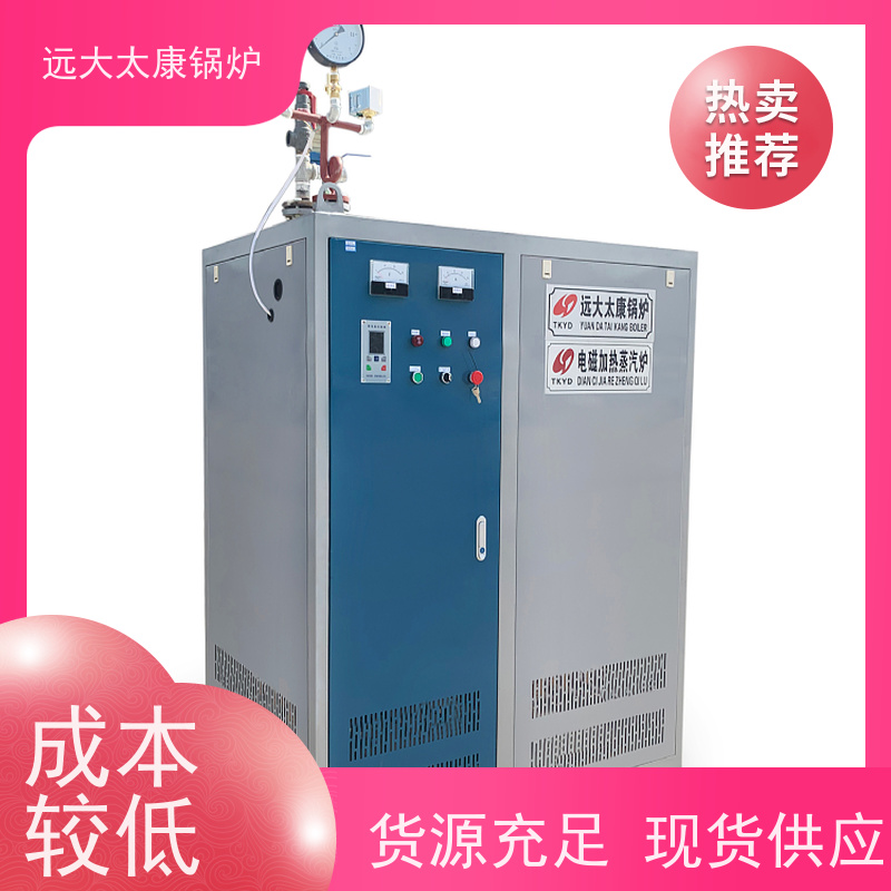 24KW 中央厨房蒸汽 容水量＜30L 免报检 电蒸汽发生器