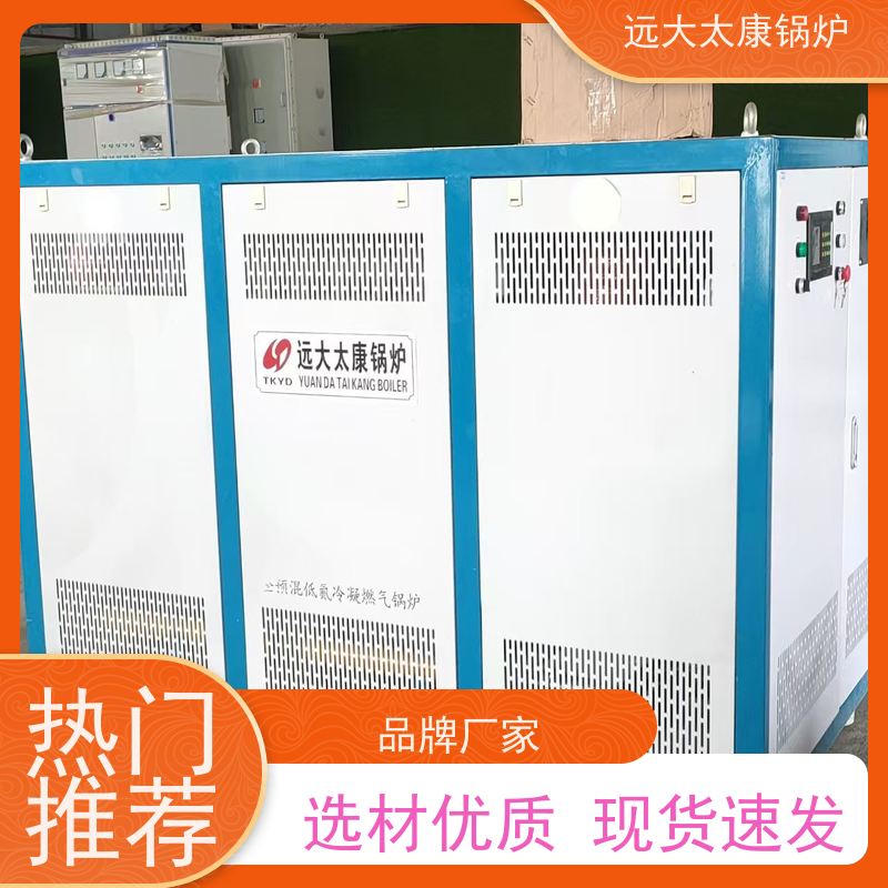 远大太康 温度恒温控制±1℃ 远程控制 电极热水锅炉 350KW
