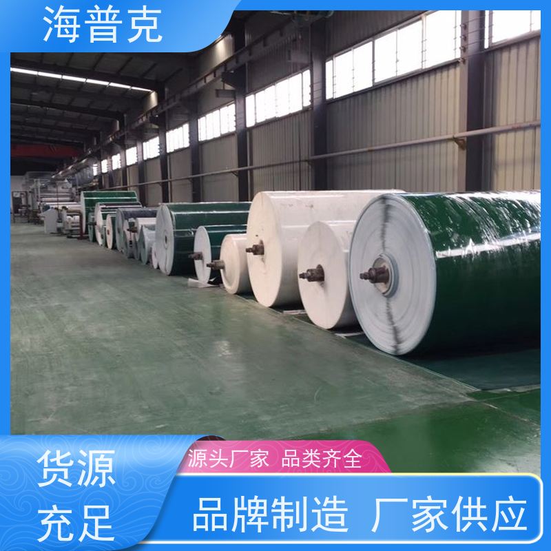 海普克 厂家尺寸定制 流水线轻型工业 阻燃性能好 聚酯尼龙输送带