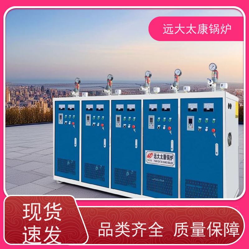 全自动 电加热蒸汽发生器 酿酒蒸馏设备配套 容水量＜30L 免报检