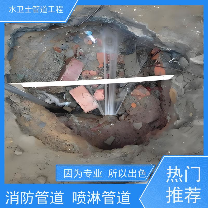 南京高淳区收费合理贴心服务仪器查漏喷淋管道