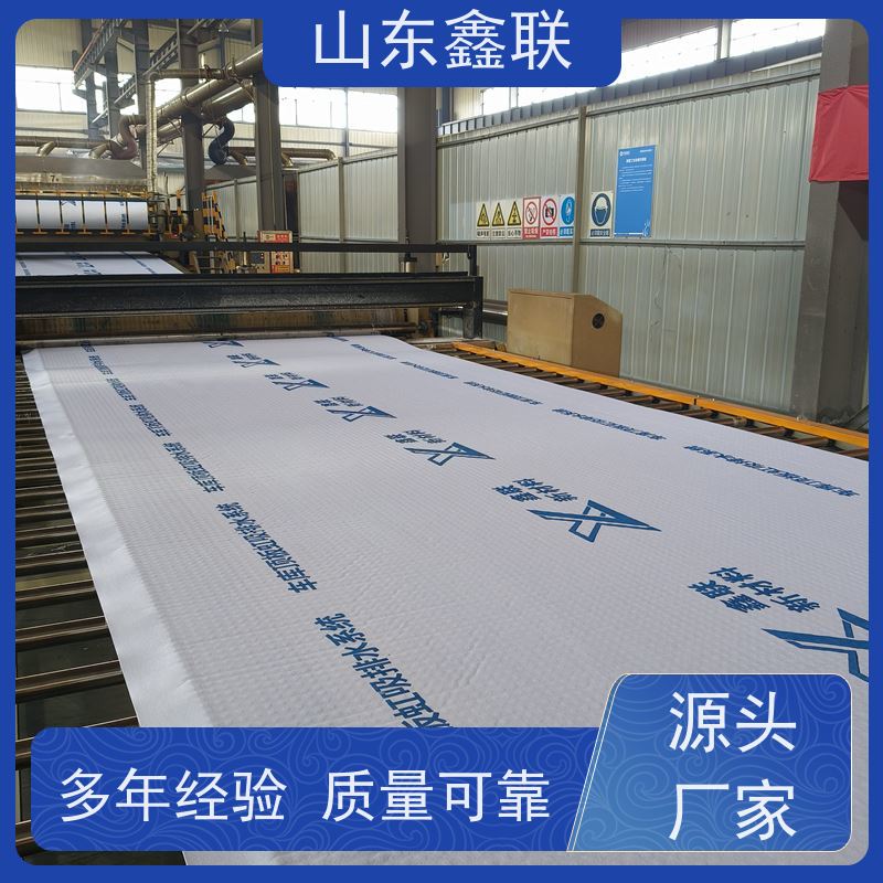 鑫联新材料 种植屋面虹吸排水系统 车库顶板专用 15高板布一体疏水板