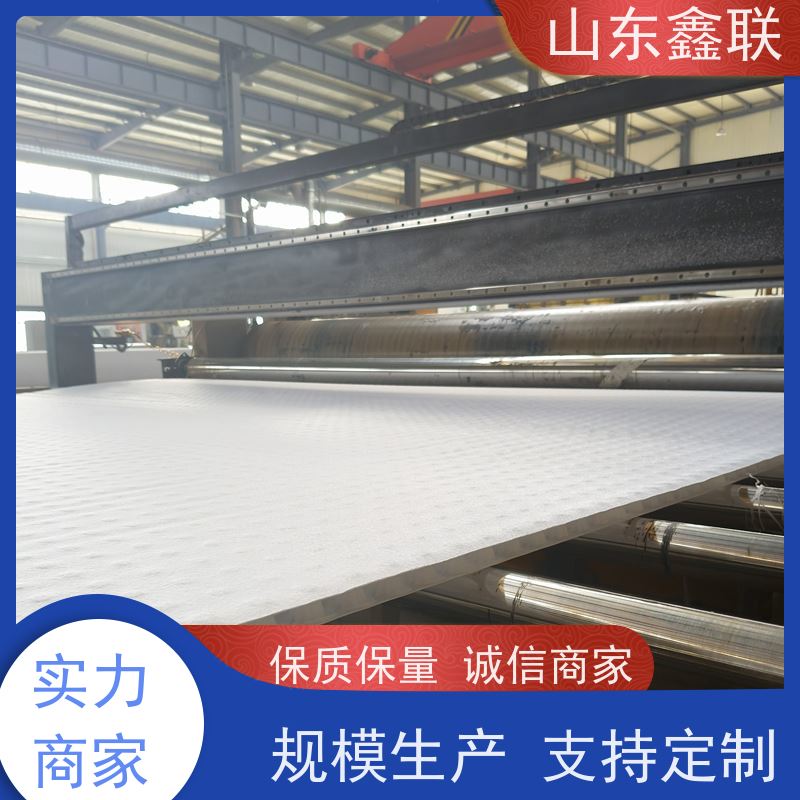 鑫联新材料 车库虹吸系统 厂家施工指导 复合高分子防护排水异形片