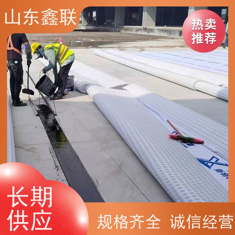 鑫联新材料 车库虹吸系统 专注生产供应 H20高分子防排水保护异形片